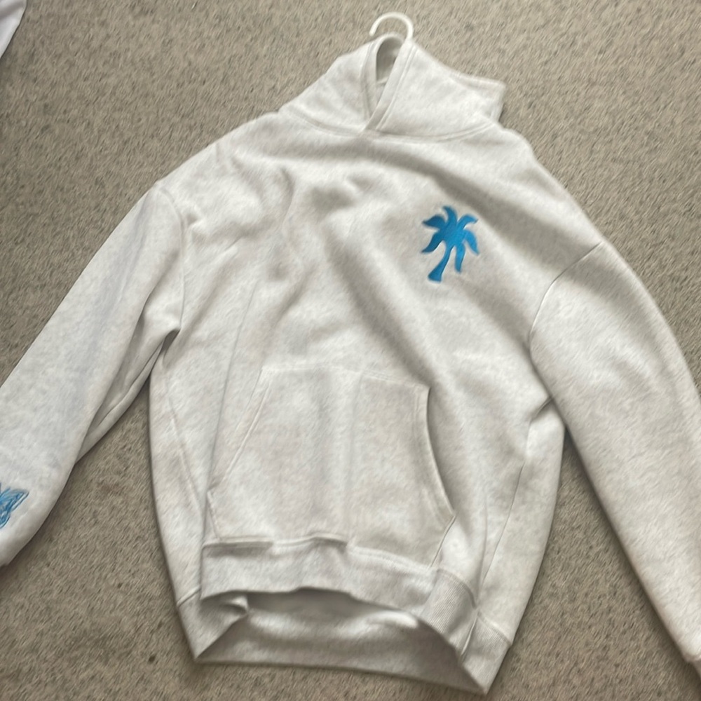 Pink Palm Puff“To Live For the Hope of it All”Oversized Hoodie in Heathe…